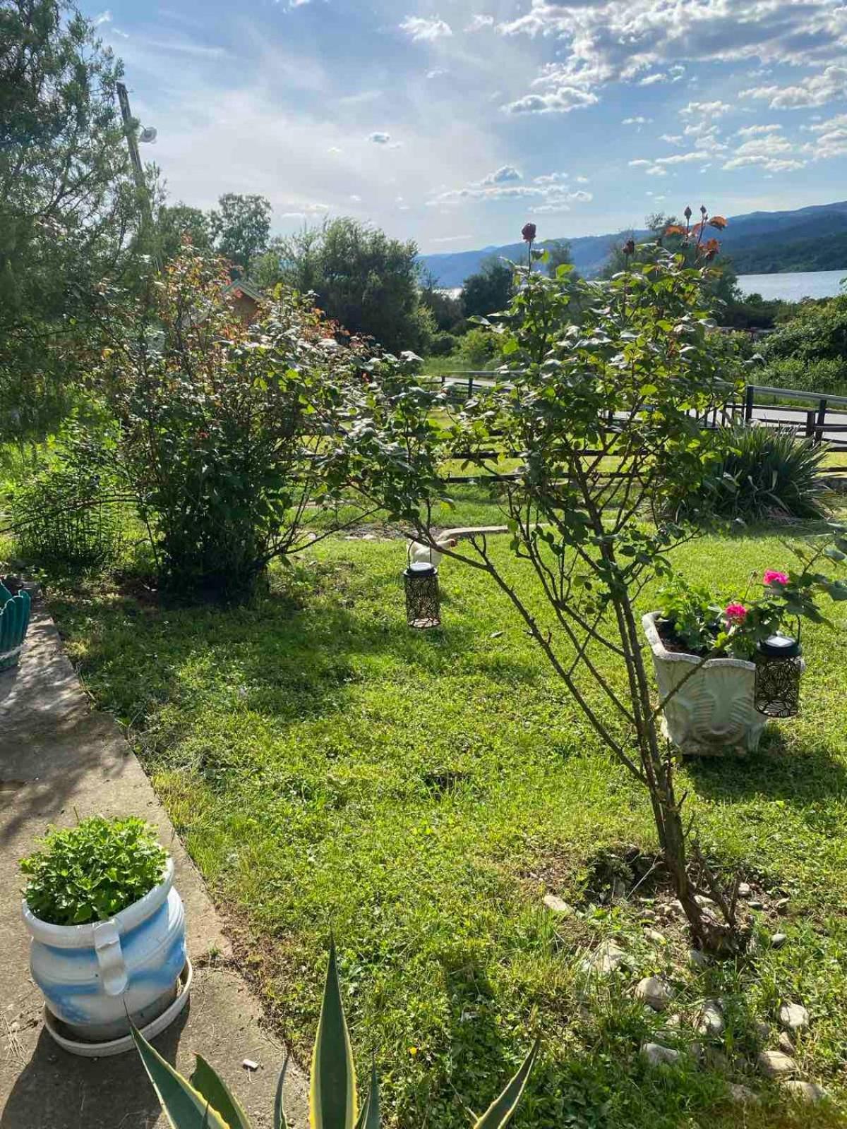 Apartment Tina Tekija (Bor)